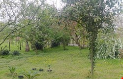 خرید زمین با 