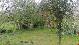 خرید زمین با 