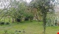  کاربری   - موجود  - مسکونی  - زمین  - شش دانگ 
